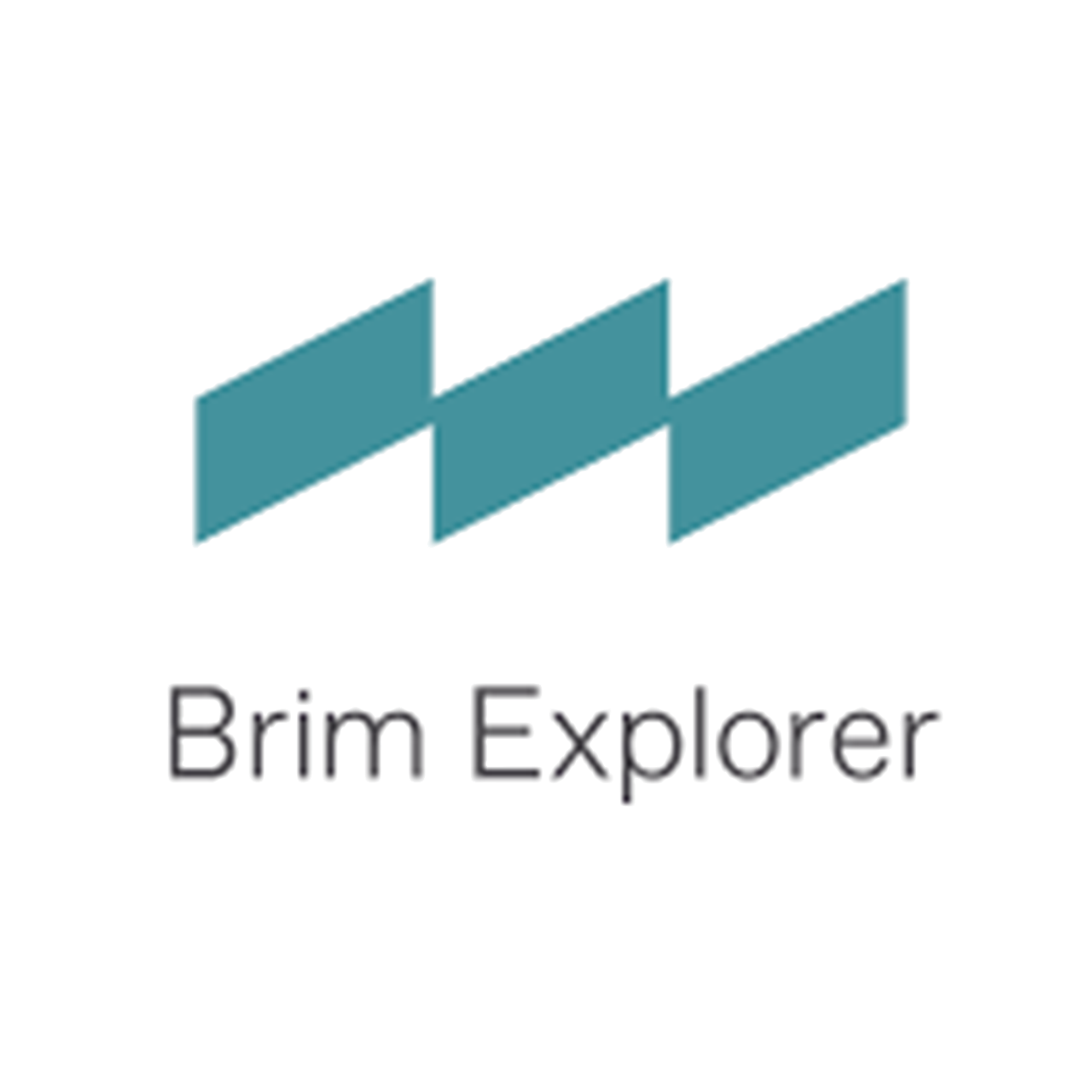 Brim Explorer